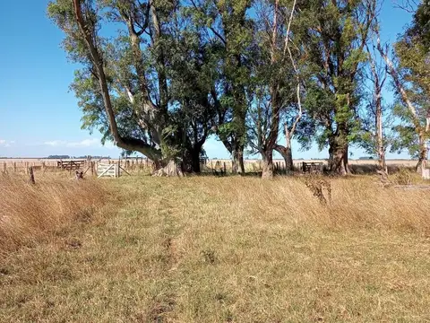 Campo en Venta en Rauch, Partido de Rauch