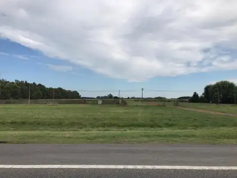 Campo en Venta en Lobos, Partido de Lobos