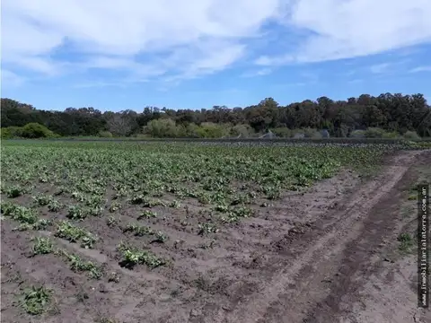 Campo en Venta en Mar del Plata, Partido de General Pueyrredón