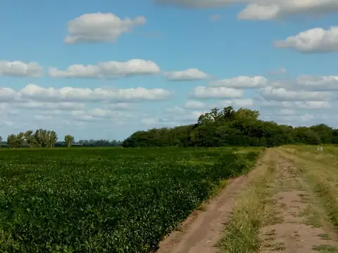 Campo en Venta en Gobernador Castro, Partido de San Pedro