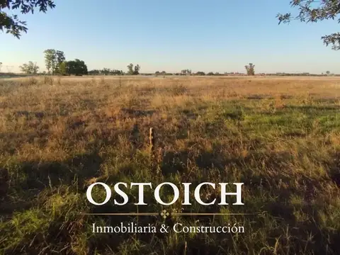Campo en Venta en San Pedro, Partido de San Pedro