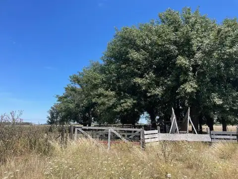 Campo en Venta en Santa Lucia, Partido de San Pedro