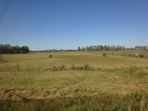 Campo en Venta en Manzanares, Partido de Pilar