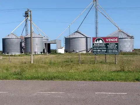 Campo en Venta en San Francisco de Bellocq, Partido de Tres Arroyos
