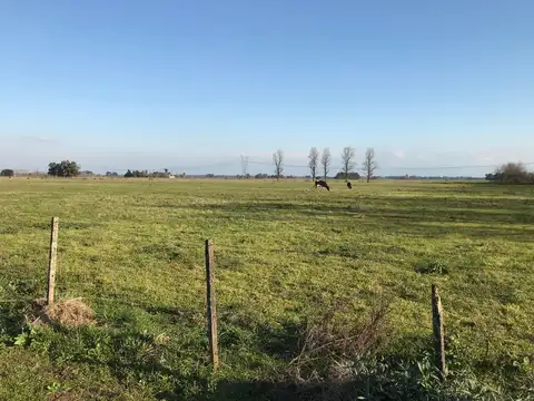 Campo en Venta en General Rodriguez, Partido de General Rodríguez