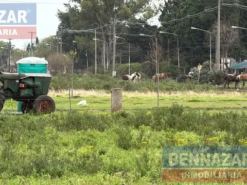 Campo en Venta en El Paraiso, Partido de Ramallo