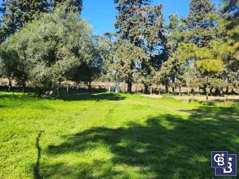 Campo en Venta en Zarate, Partido de Zárate