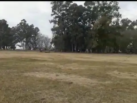 Campo en Venta en Saladillo, Partido de Saladillo