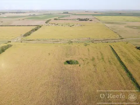 Campo en Venta en Chascomus, Partido de Chascomús