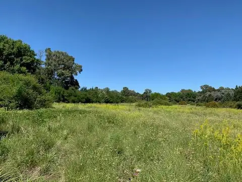 Campo en Venta en Los Cardales, Partido de Exaltación de la Cruz