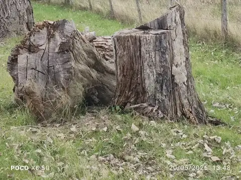 Campo en Venta en Torres, Partido de Luján