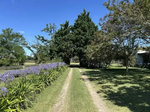 Campo en Venta en Los Hornos, La Plata