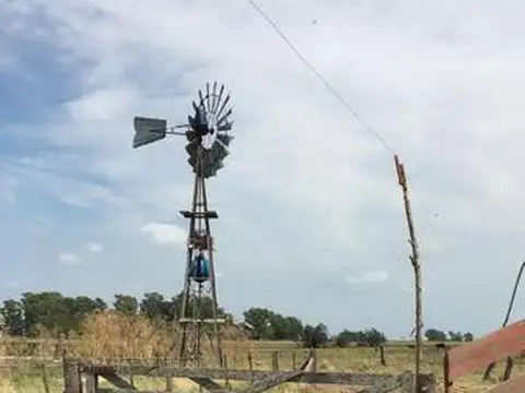 Campo en Venta en La Porteña, Partido de Las Flores