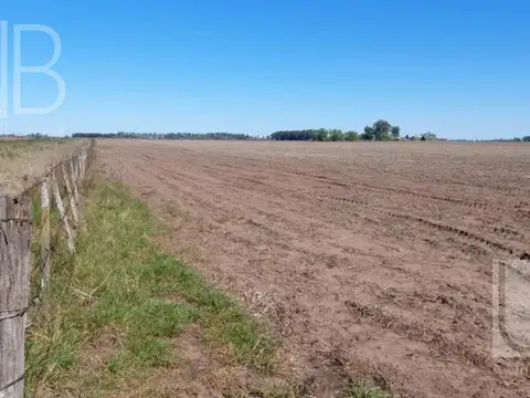 Campo en Venta en Saladillo, Partido de Saladillo