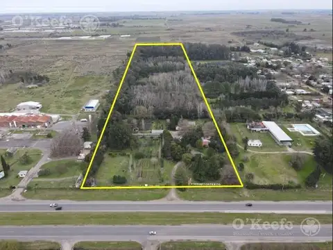 Campo en Venta en Coronel Brandsen, Partido de Brandsen