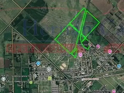 Campo en Venta en Lobos, Partido de Lobos