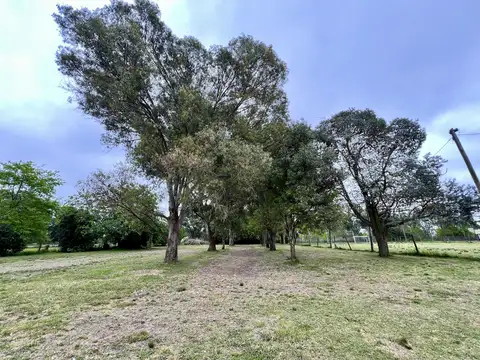 Campo en Venta en Lisandro Olmos Etcheverry, Partido de La Plata