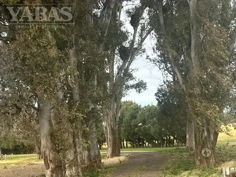 Campo en Venta en San Pedro, Partido de San Pedro
