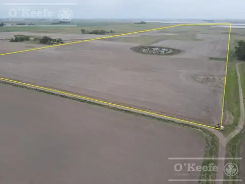 Campo en Venta en Saladillo, Partido de Saladillo