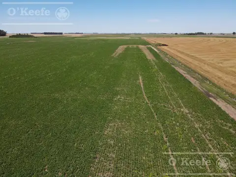 Campo en Venta en General Belgrano, Partido de General Belgrano