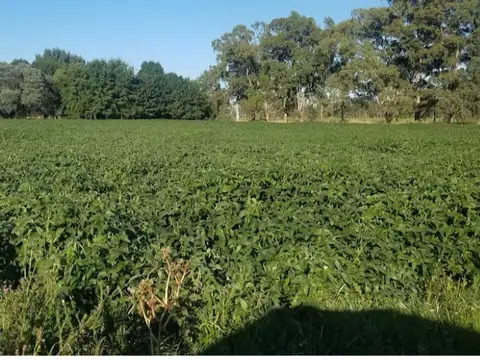 Campo en Venta en Lobos, Partido de Lobos
