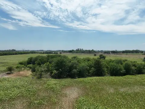 Campo en Venta en Marcos Paz Rural, Marcos Paz