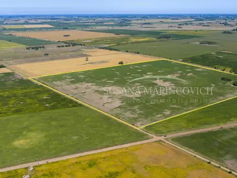 Campo en Venta en Azcuenaga, Partido de San Andrés de Giles