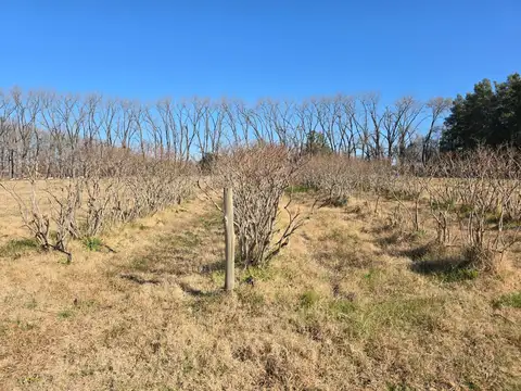 Campo en Venta en Los Cardales, Partido de Exaltación de la Cruz