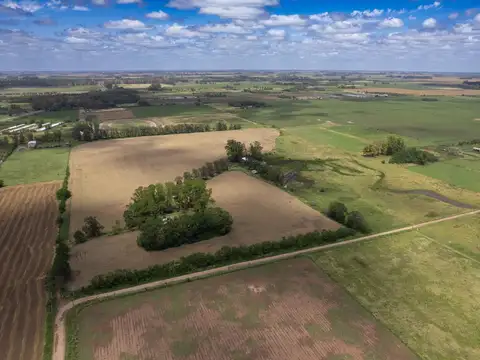 Campo en Venta en San Andres de Giles, Partido de San Andrés de Giles