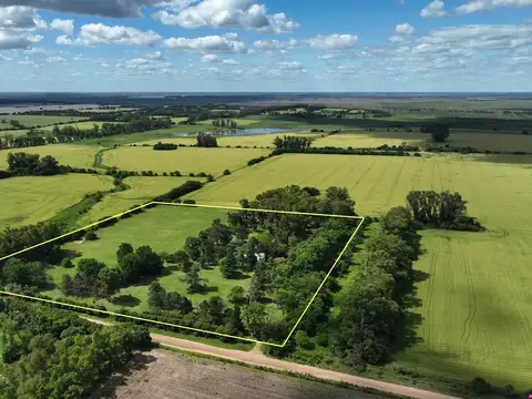 Campo en Venta en Alsina, Partido de Baradero
