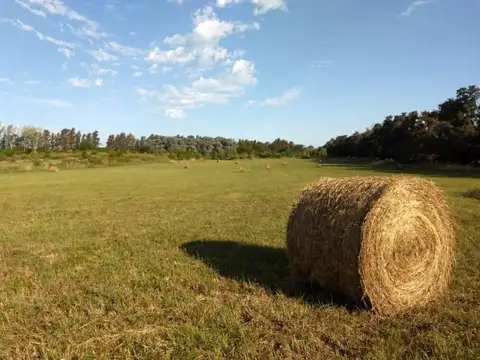 Campo en Venta en Open Door, Partido de Luján