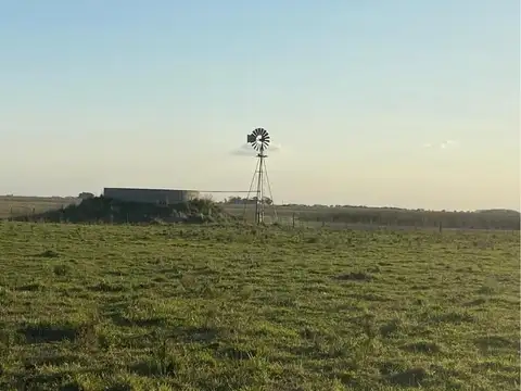 Campo en Venta en General Juan Madariaga, Partido de General Juan Madariaga