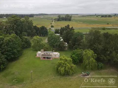 Campo en Venta en Chascomus, Partido de Chascomús
