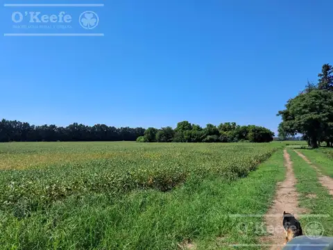 Campo en Venta en Baradero, Partido de Baradero