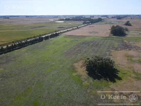 Campo en Venta en Saladillo, Partido de Saladillo