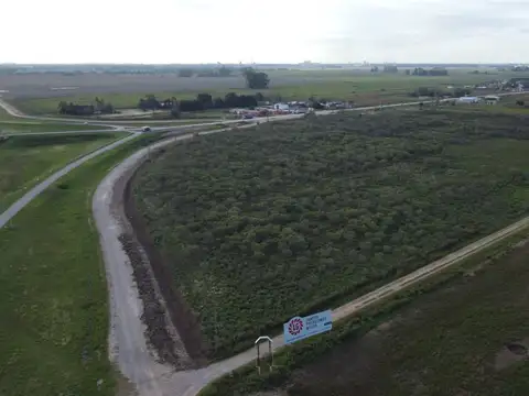 Campo en Venta en Ramallo, Partido de Ramallo