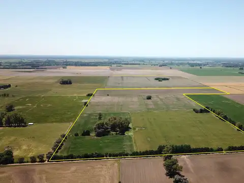 Campo en Venta en Torres, Partido de Luján