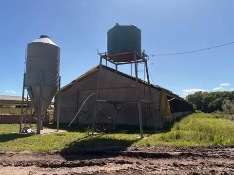 Campo en Venta en Arrecifes, Partido de Arrecifes