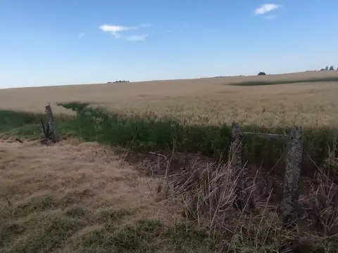 Campo en Venta en Henderson, Partido de Hipólito Yrigoyen