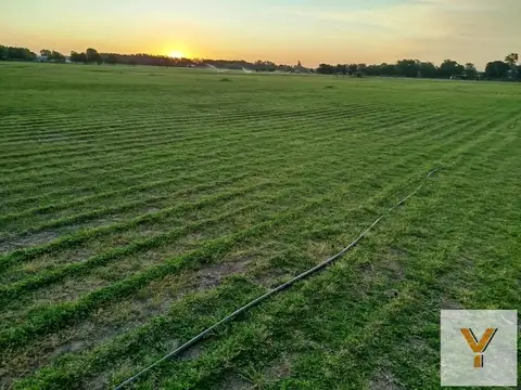 Campo en Venta en Baradero, Partido de Baradero