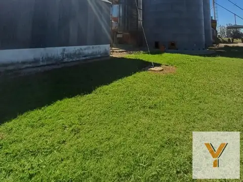 Campo en Venta en Urdampilleta, Partido de Bolívar