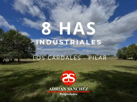 Campo en Venta en Los Cardales, Partido de Exaltación de la Cruz