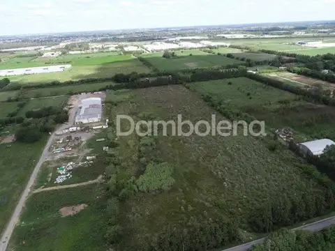 Campo en Venta en Centro  - Zarate, Zarate