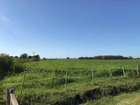 Campo en Venta en San Antonio de Areco, Partido de San Antonio de Areco