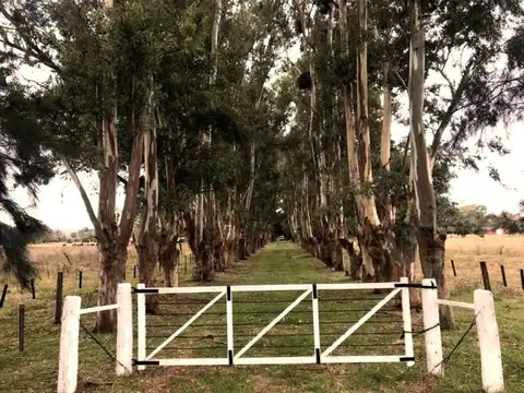Campo en Venta en Torres, Partido de Luján