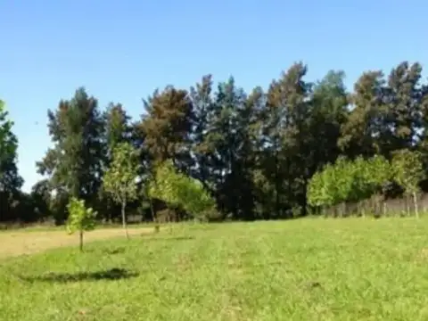 Campo en Venta en Lujan, Partido de Luján