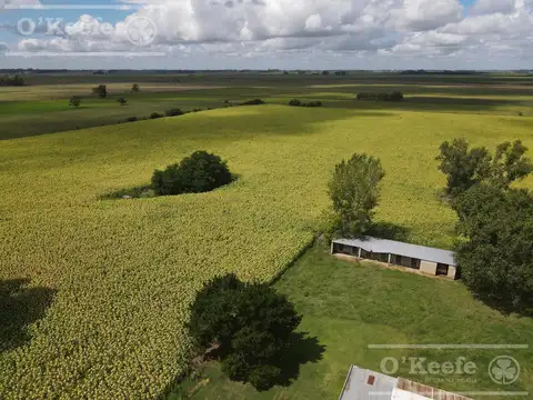 Campo en Venta en San Miguel del Monte, Partido de Monte