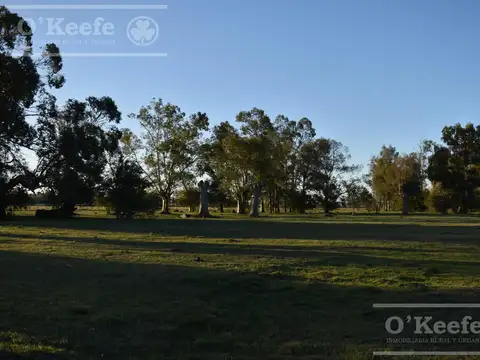 Campo en Venta en Florencio Varela, Partido de Florencio Varela