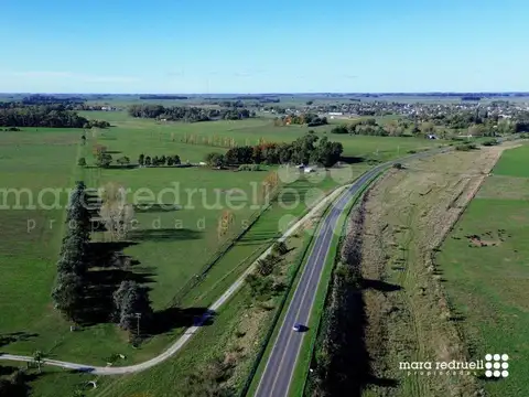 Campo en Venta en Chascomus, Partido de Chascomús
