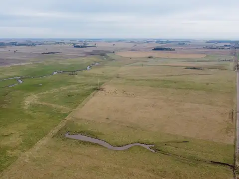 Campo en Venta en San Pedro, Partido de San Pedro